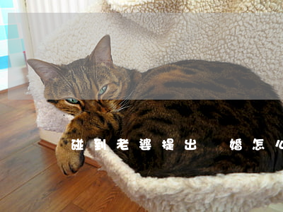 碰到老婆提出離婚怎么辦(老婆要離婚該怎么辦)