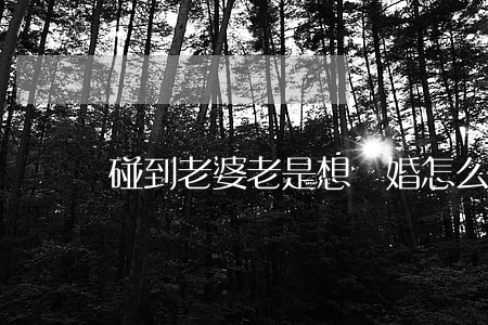 碰到老婆老是想離婚怎么辦