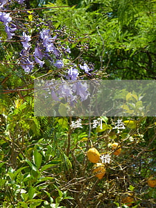 碰到老賴借錢沒有字句可以起訴嗎-碰到老賴借錢沒有字句可以起訴嗎怎么辦