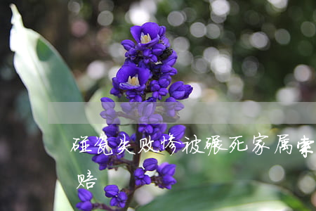 碰瓷失败惨被碾死，家属索赔巨款，交警：一分不赔！