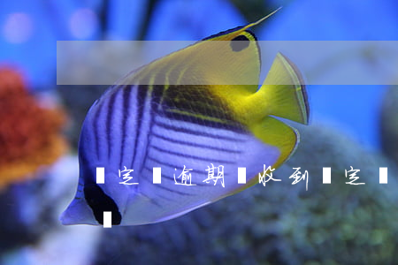 確定沒逾期卻收到(確定沒逾期卻收到催收電話)
