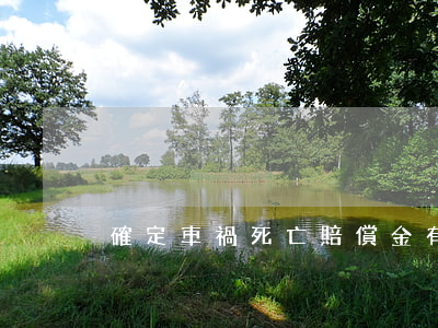 確定車禍死亡賠償金有哪些證據(jù)