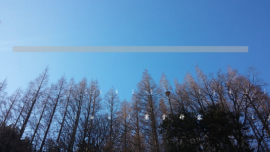 確實(shí)暫時(shí)無力償還債務(wù)要拿什么證據(jù)給法官-確實(shí)暫時(shí)無力償還債務(wù)要拿什么證據(jù)給法官呢