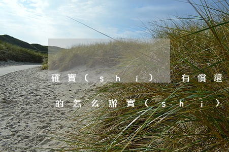 確實(shí)沒有償還債務(wù)能力的怎么辦?(實(shí)在無力償還債務(wù)怎么辦)