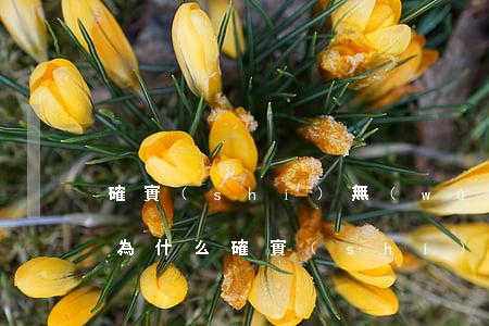 確實(shí)無(wú)力償還能貸款嗎為什么（確實(shí)無(wú)力償還能貸款嗎）
