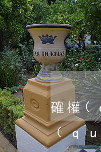 確權(quán)訴訟起訴書樣本(房屋確權(quán)訴訟狀怎么寫)