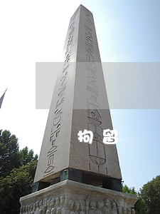 確無財產(chǎn)可執(zhí)行能拘留嗎
