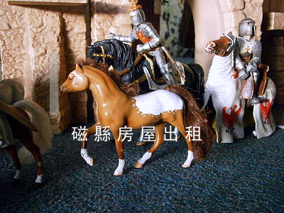 磁縣房屋出租