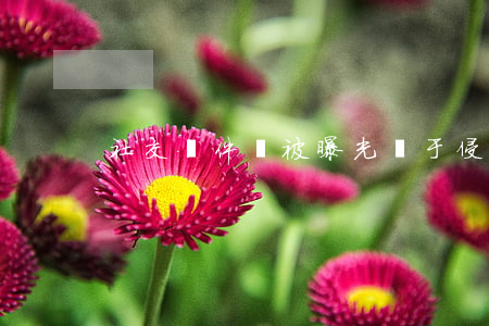 社交軟件號被曝光屬于侵犯隱私嗎