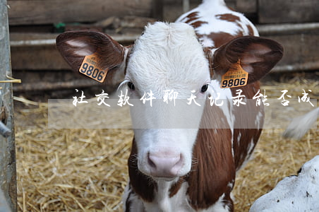 社交软件聊天记录能否成为法律证据