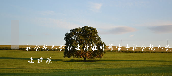 社会抚养费征收标准(非婚生子社会抚养费征收标准)