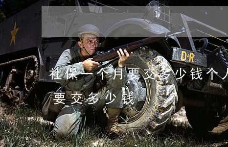 社保一个月要交多少钱(个人缴纳社保一个月要交多少钱)