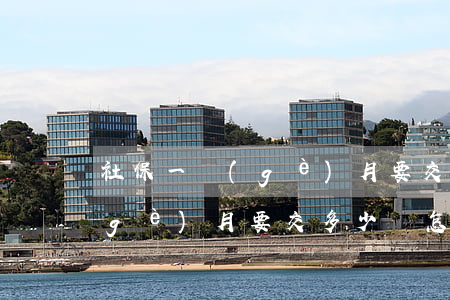 社保一個(gè)月要交多少錢(社保一個(gè)月要交多少錢怎么算)
