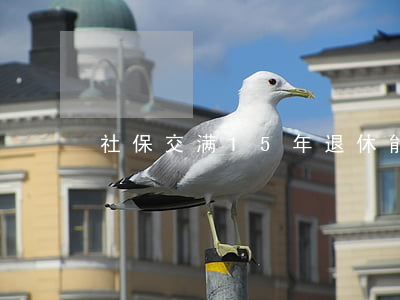 社保交满15年，退休能领多少钱？