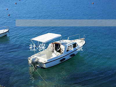 社保個人編號