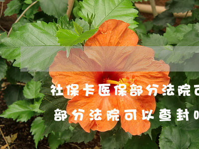 社保卡医保部分法院可以查封吗(社保卡医保部分法院可以查封吗)