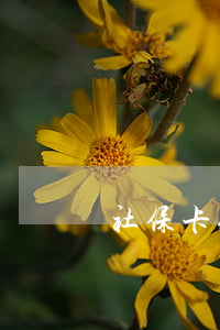 社保卡缴费