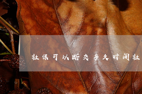 社保可以断交多久时间（社保是怎么算的）