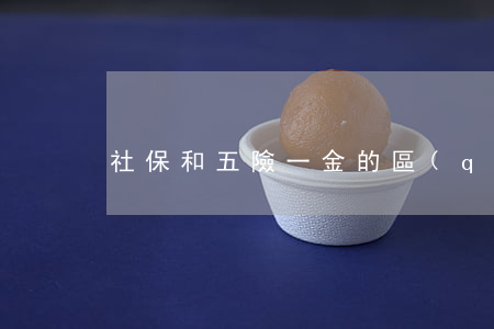 社保和五險一金的區(qū)別是什么