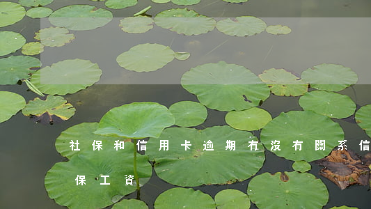 社保和信用卡逾期有沒有關系（信用卡逾期社保工資）