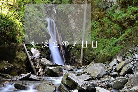 社保在哪里繳納
