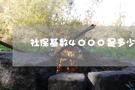 社保基数4000是多少钱