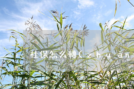 社保怎么轉(zhuǎn)移