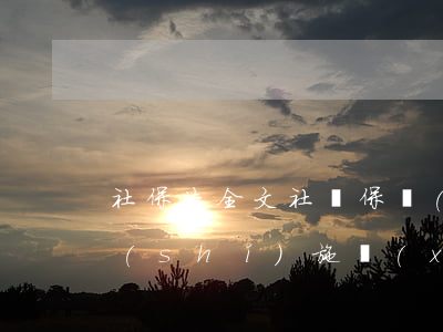 社保法全文(社會保險(xiǎn)法全文實(shí)施細(xì)則)