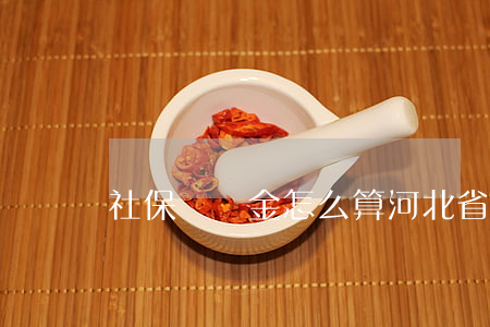 社保滯納金怎么算(河北省社保滯納金怎么算)