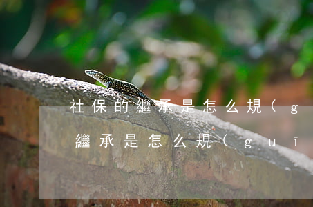 社保的繼承是怎么規(guī)定的(社保的繼承是怎么規(guī)定的)