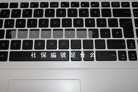 社保編號是什么