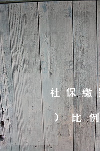 社保繳費(fèi)比例(社保繳費(fèi)比例是多少)