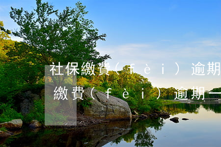 社保繳費(fèi)逾期一天怎么辦-社保繳費(fèi)逾期一天怎么辦