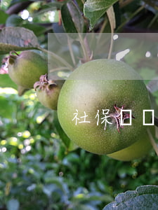 社保繳費證明