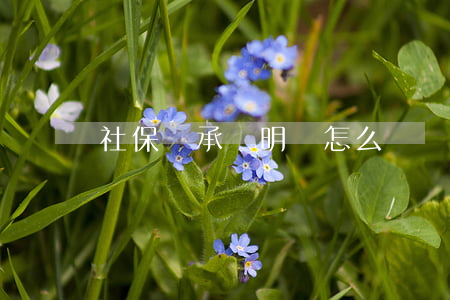 社保繼承聲明書怎么寫(繼承人證明書怎樣寫)