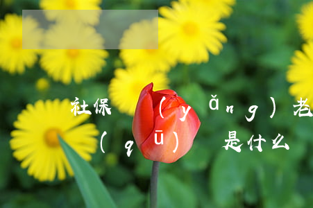 社保與養(yǎng)老保險(xiǎn)區(qū)別是什么（養(yǎng)老保險(xiǎn)和社保的含義）