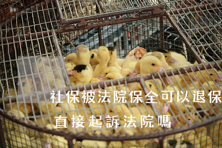 社保被法院保全可以退保嗎(社保賠償金可以直接起訴法院嗎?)