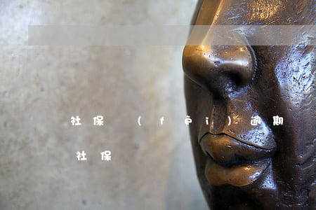社保費(fèi)逾期繳納的影響(逾期影響社保嗎)
