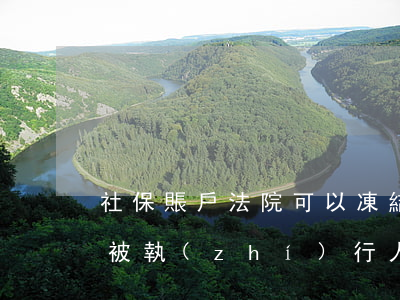 社保賬戶法院可以凍結嗎相關問答(法院凍結被執(zhí)行人的社保賬號)