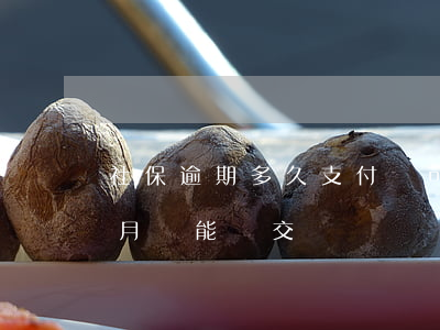 社保逾期多久支付寶可以補交(社保欠費兩個月還能補交嗎)