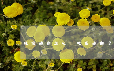 社保逾期怎么辦(社保逾期了怎么辦)