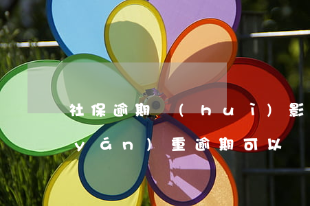 社保逾期會(huì)影響貸款嗎(借款嚴(yán)重逾期可以買社保嗎)
