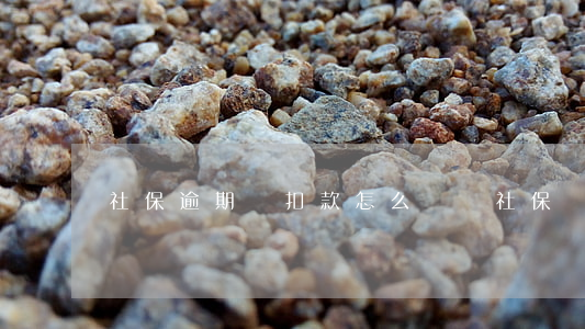 社保逾期沒扣款怎么補繳(社保費逾期未扣費)