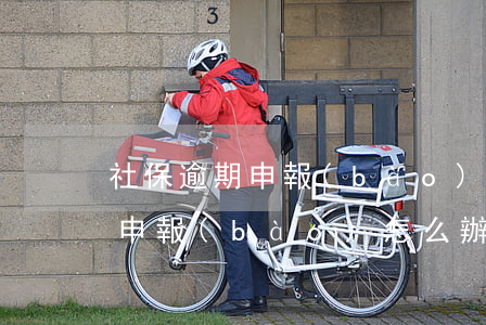 社保逾期申報(bào)怎么辦法（社保逾期申報(bào)怎么辦）