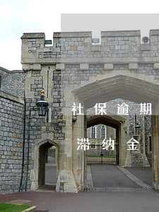 社保逾期的滞纳金是多少(社保逾期多久要交滞纳金)