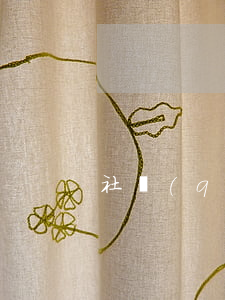 社區(qū)推薦函可以代理參加訴訟嗎