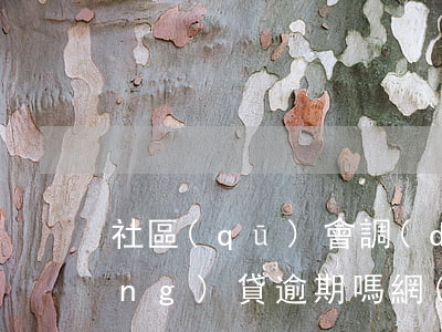 社區(qū)會調(diào)解網(wǎng)貸逾期嗎(網(wǎng)貸逾期催收聯(lián)系村委會違法嗎)