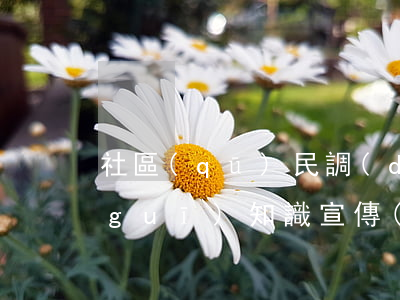 社區(qū)民調(diào)法律法規(guī)知識宣傳(法律進(jìn)社區(qū)最好宣講那些方面的法律內(nèi)容)