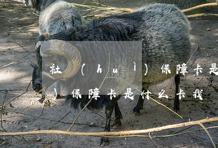 社會(huì)保障卡是什么(社會(huì)保障卡是什么卡我沒(méi)搞清楚)