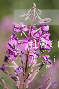 社會(huì)保障卡法院起訴的可以凍結(jié)嗎(被法院起訴凍結(jié)社保卡)
